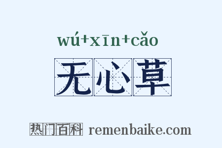 无心草是什么意思的图片